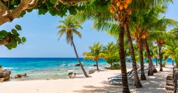 Historic towns & all-inclusive Roatán