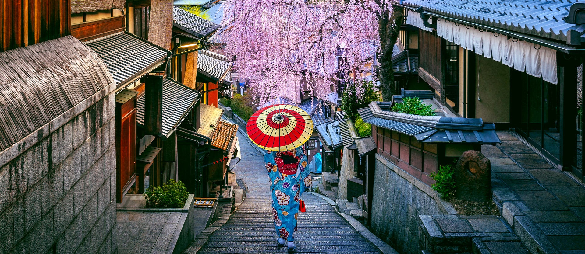 Scenic Japan temple with cherry blossoms - guided tour destination