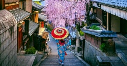 A taste of Japan: Tokyo, Kyoto & Osaka