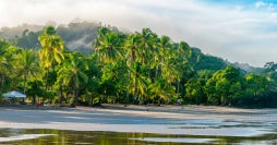 Tropical Essence: Costa Rica & Panama