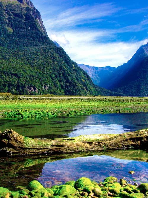 Australia & New Zealand