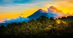 Tropical Rainforests & Beach Escape