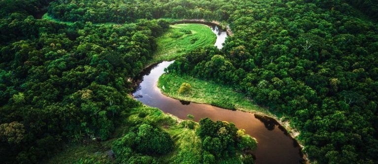 ECOLOGICAL JUNGLE TRIPS (NAUTA, PERU): 329 fotos, comparação de preços e  avaliações - Tripadvisor