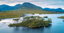 Essence of the Emerald Isle